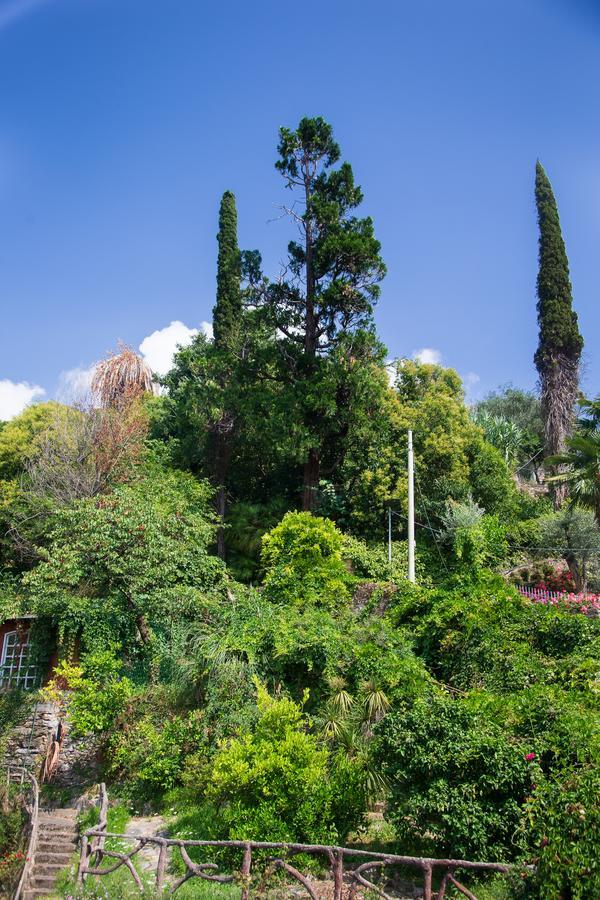 Apartament San Rocco Flexyrent - Parking - Wifi - Aircon Rapallo Zewnętrze zdjęcie